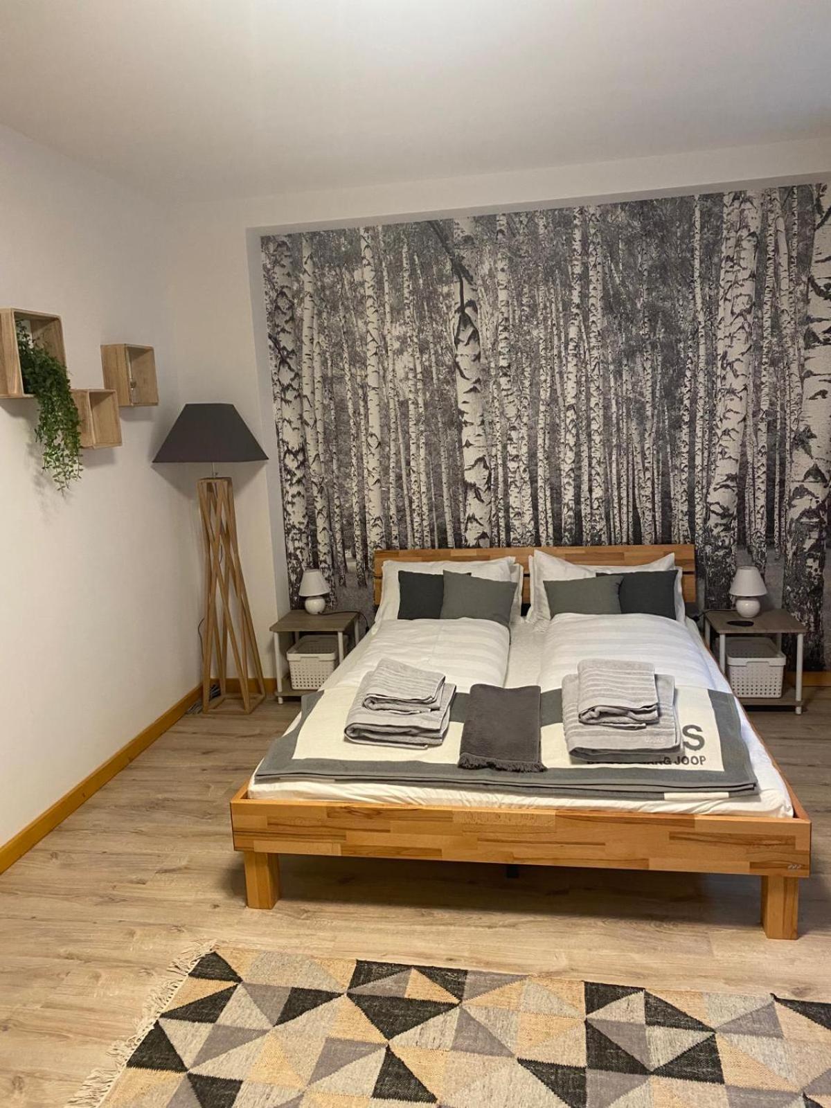 Forest Apartment-Forest Escape Menzenschwand Санкт-Блазиен Экстерьер фото